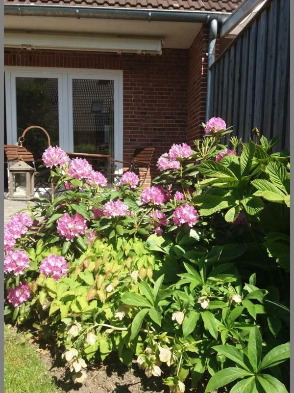Ferienhaus Richard Villa Husum  Bagian luar foto